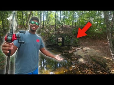 The Fish Here Will Shock You… Skinny Water Bass that LOVE Topwater