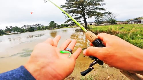 EASILY Catch MORE Bluegill and Crappie in the SPRING With This TIP!  (BAD NEWS)