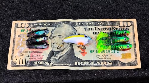 $10 Micro Fishing Challenge (Caught My New PB)