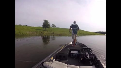 Bass on a LiveTarget Lures Frog!