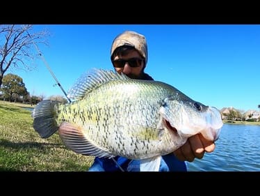 The BIGGEST CRAPPIE I've EVER SEEN!