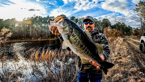 Warm WINTER Days Make BIG BASS Bite!!!