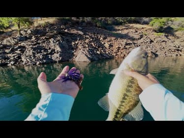 Fishing Deep Summer Ledges with Purple Jigs | Lake Oroville Bass Guide Tips