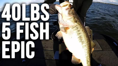 40lbs 5 Fish Limit - Best Day of Fishing EVER!!  Epic Mega Bag