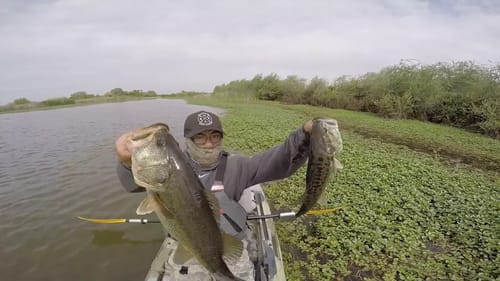 Non-Stop Buzzbait Action