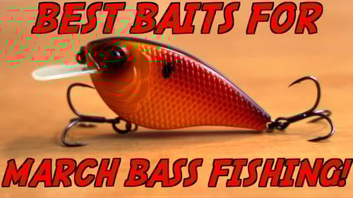 Top 3 BAITS For MARCH Bass Fishing!