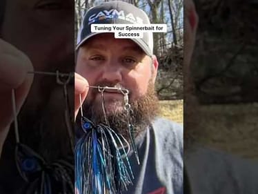 Tune Your Spinnerbaits!