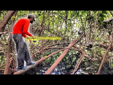 STRANGE FISH caught in HIDDEN JUNGLE POND!!