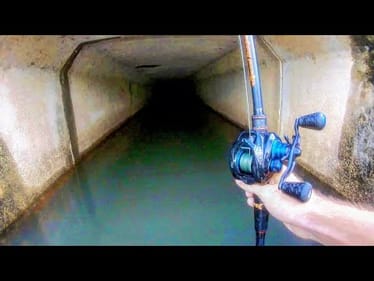 MONSTER FISH in THE SEWER!!!
