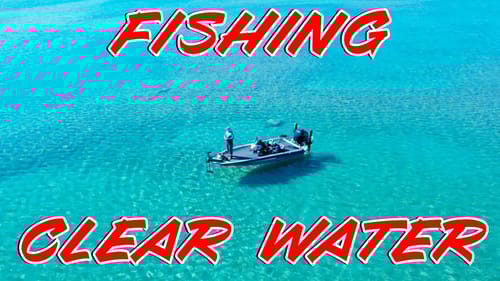 How To Catch Fish In Clear Water