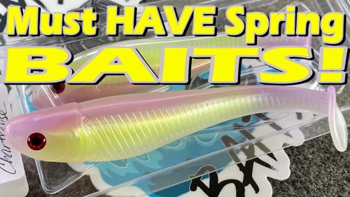 GIANT Spring Go To Bait Unboxing
