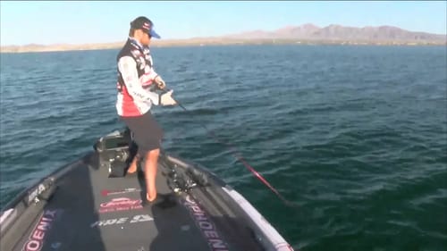 Justin Lucas boats a 3 lb fish #3 BASS Live www.bassmaster.com
