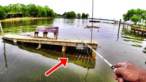 BIG FISH DESTROYS LURE UNDER FLOODED DOCK!!! (WHAT HAVE I HOOKED!?!)