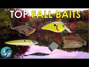 Top 5 Fall Fishing Lures + Where To Throw Them