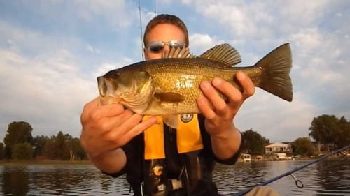 Bass & Pike 8-27-2011