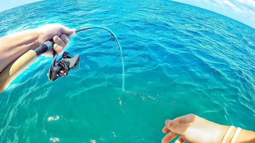 Bass FISHERMAN Catches BIG Ocean Fish For First Time!