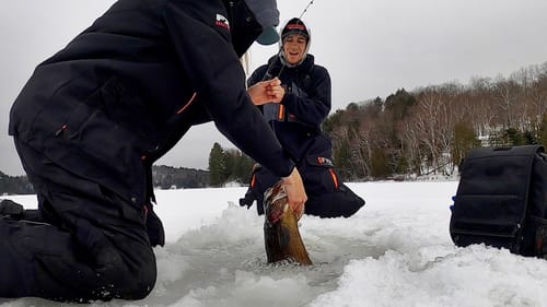 COOLEST Lake Trout I have Ever Seen!!