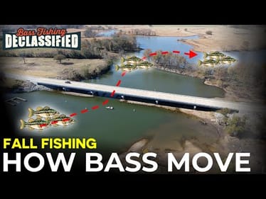 Stay Ahead of Fall Bass With This Simple Approach!