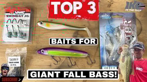 Top 3 Baits for Giant Fall Bass!