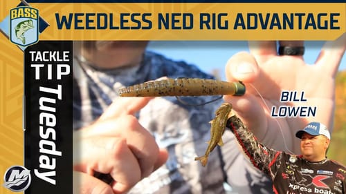 Bill Lowen's shallow advantage of a weedless Ned Rig