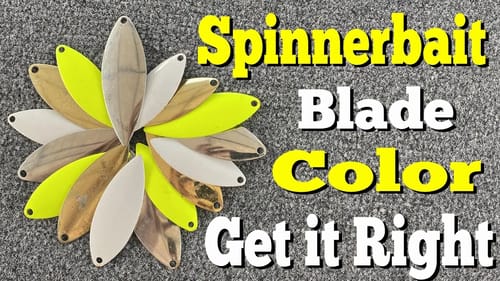 Choose The Right SPINNERBAIT Blade COLOR