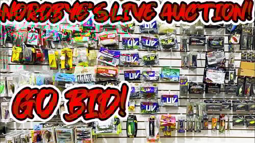 BASS FISHING Lure Auction! Fundraiser & Great Deals! (10 Days Only)