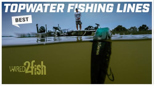Best Topwater Fishing Line Tips from Lee Livesay