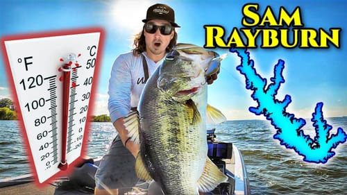 RECORD HIGH Temperatures make the GIANTS Bite!! (Sam Rayburn Bass Fishing)