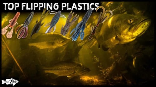 Top Baits for Flipping and Pitching Bass | Underwater Footage