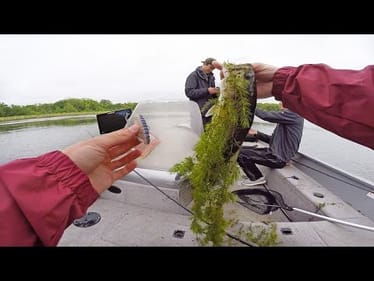 Cranking MEAN Fish In The GRASS?