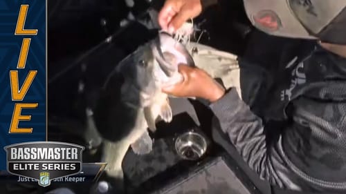 Santee Cooper: Kuphall barely hooked 7+ pound bass