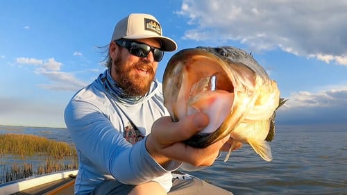 Florida Bass Fishing Raw And Uncut! Big Bass On Swim Jigs And Chatterbaits!
