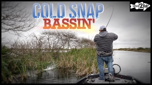 Where to Fish for Florida-Strain Bass During Cold Fronts
