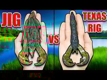 Jig vs Texas Rig - Don't Choose the Wrong One!