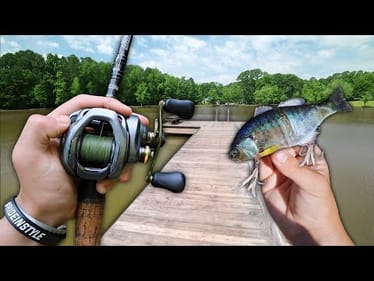 Fishing For GIANT BASS In Small Ponds! -- (Bank Fishing)
