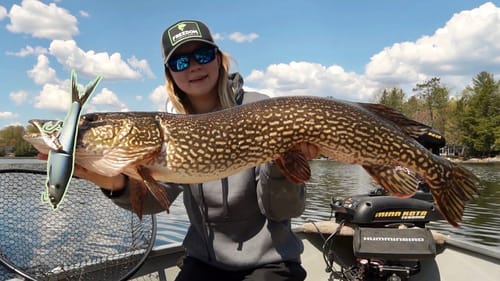 Big Glidebaits for Spring Northern Pike!