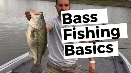 Bass Fishing FOR Beginners - Everything You NEED For $75 (What Rod, Reel, Line and Lures?) Part 1