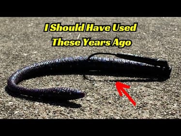 I Was Late To The Party On Using This Fishing Lure!