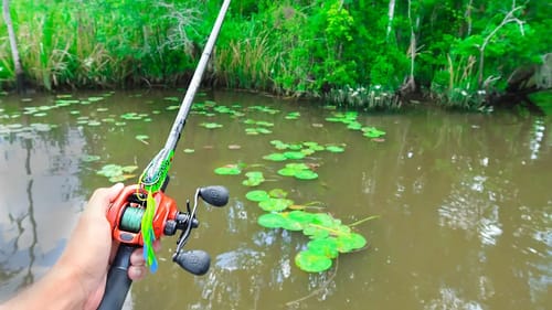 FROG Fishing for GIANT Bass in HIDDEN CREEKS