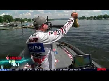 Taste the Bait: Tharp's flipping jig