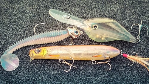 Fishing When Its HOT! ( Let's Find These Bass! )
