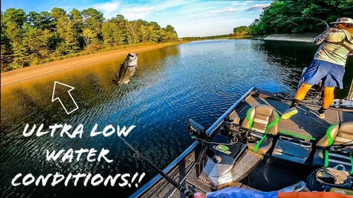 CHASING After EARLY FALL Bass During SUPER Low WATER Conditions!! || Did We Catch Them??