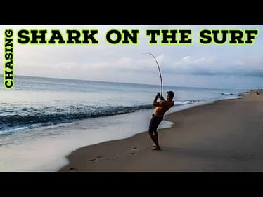 Chasing JAWS in the OBX