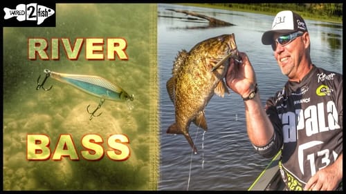 Tips for Finding and Catching River Bass on Jerkbaits