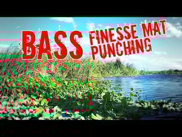 Finesse Mat Punching for Bass
