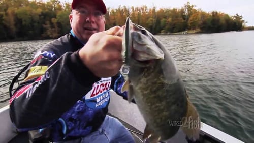 Fishing for Bass with Jerkbaits in Cold Water