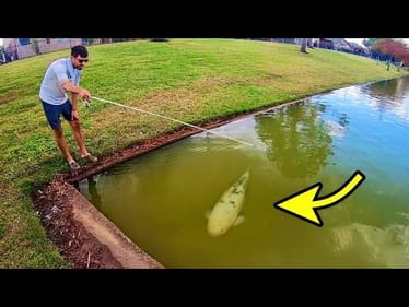 ONCE in a LIFETIME CATCH in a CITY POND!!