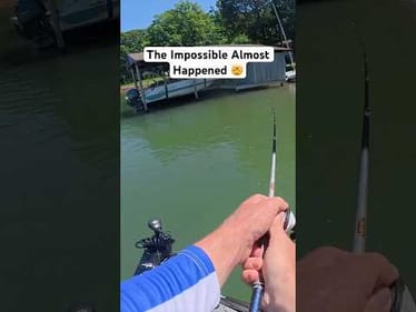 You Won’t Believe This! 😳 #shorts