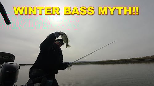 The Myth of Winter Bass | Bass Fishing