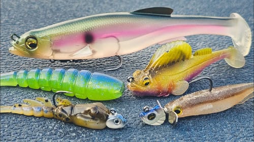 Summer Swimbaits For Bass! (Big And Small)